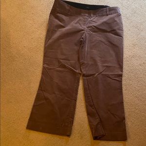 women’s loft boot cut brown pants